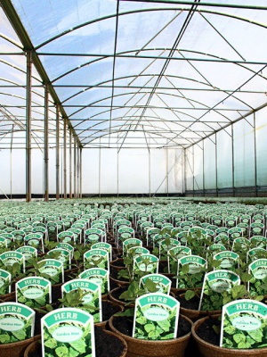 Strong Poly Tunnel Covers