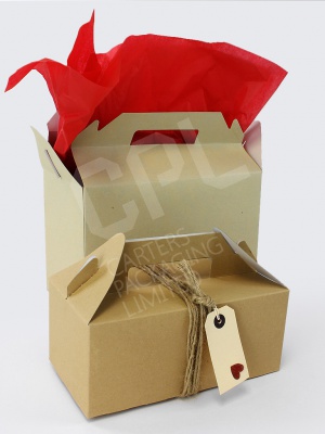 Cardboard Carry Packs - Great for Gifts!