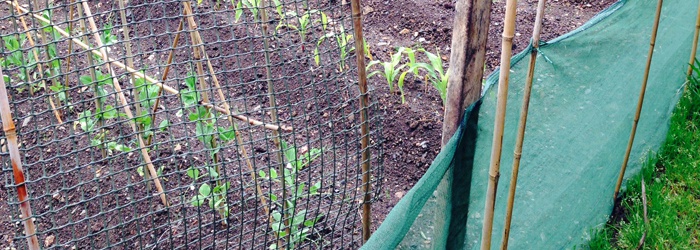 Netting, Windbreaks and Shade Protection