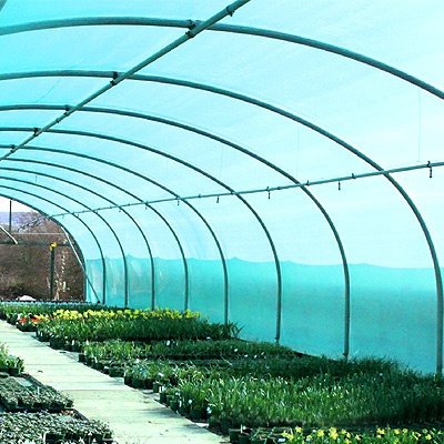 Clear Poly Tunnel Cover 7.3 x 1m