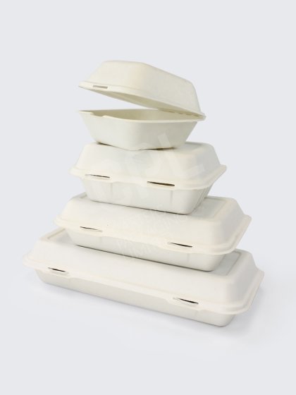 Bagasse Sugarcane Food Containers