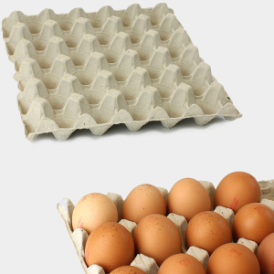 Egg Trays