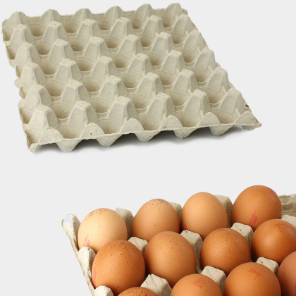 Egg Trays