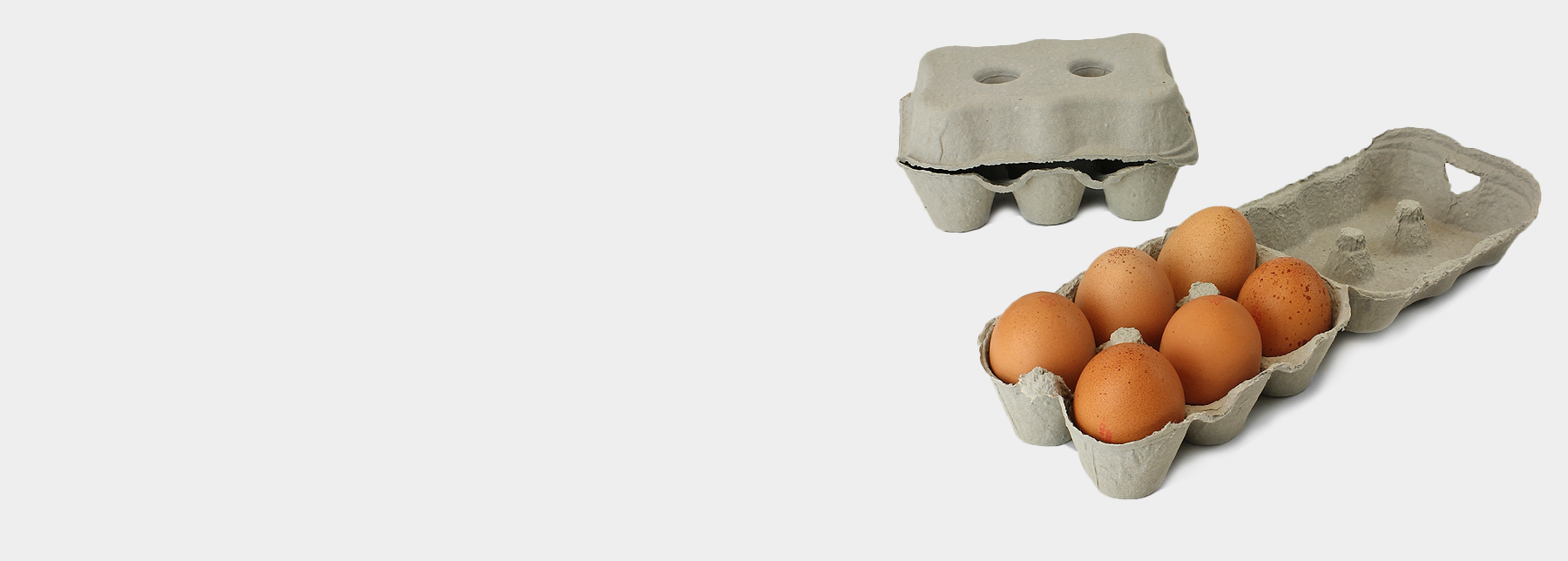 Egg Boxes, Cartons and Trays