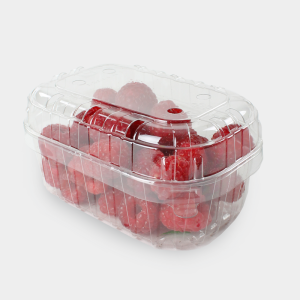 Fruit Punnets