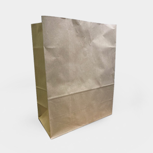 Large Takeaway Paper Bags