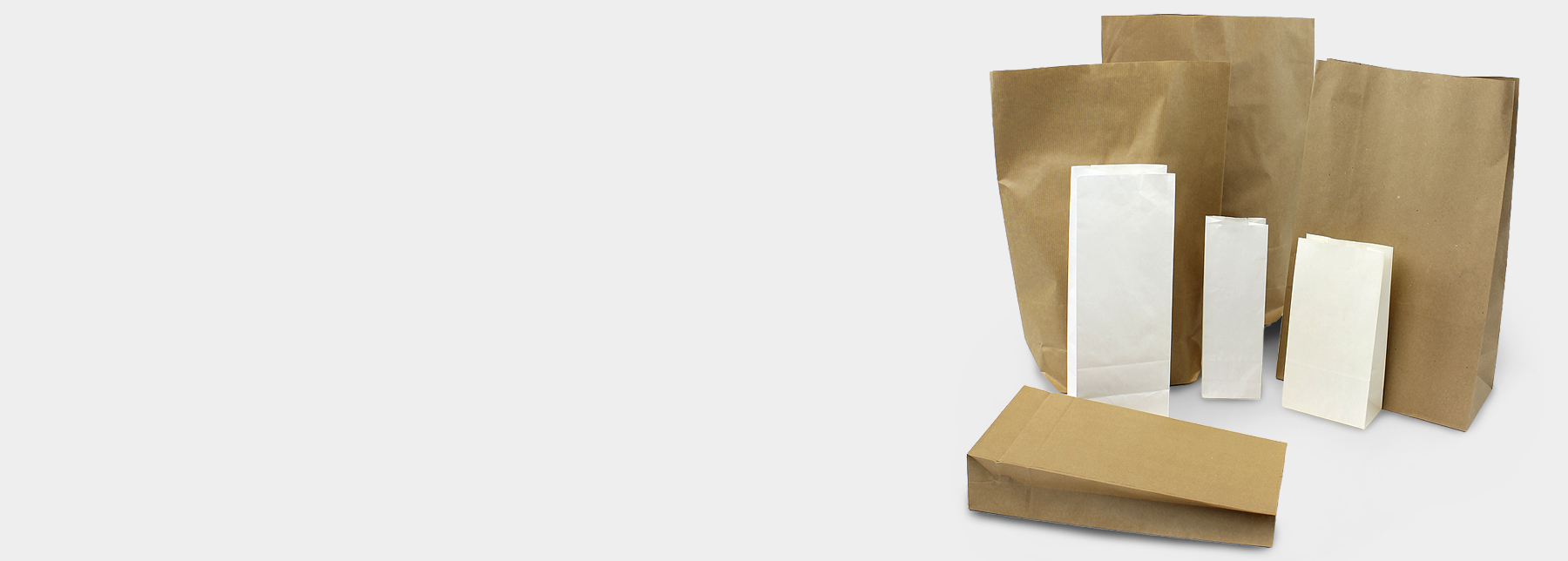Satchel Paper Bags