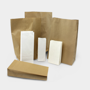 Satchel Paper Bags