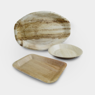 Palm Leaf Rectangular Plates 160 x 240mm