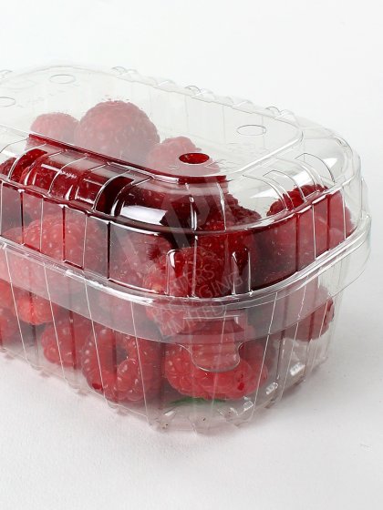 Half Pound Punnet with lid