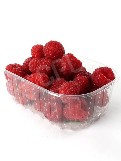 1/2lb Punnet without Lid