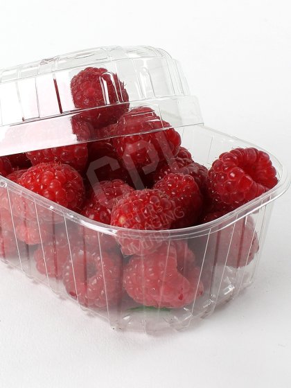 Medium sized Clear Plastic Fruit Punnet