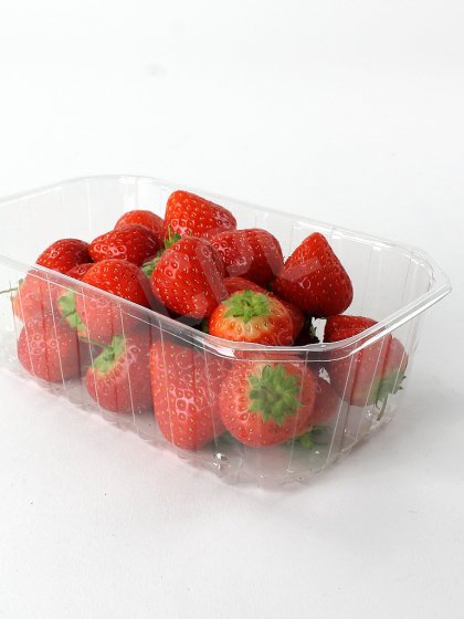 Large Clear Fruit Punnet