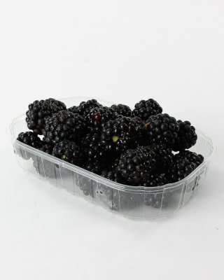 Clear Plastic 1/4lb (Quarter) Punnet