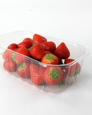 Clear Plastic 1lb (One Pound) Punnet