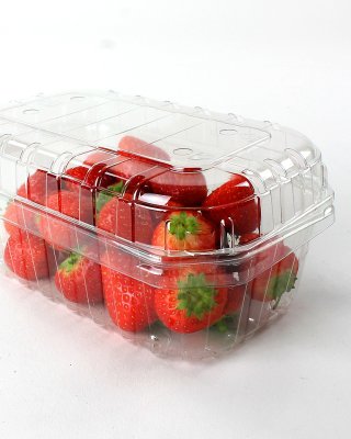 Lid for 1lb (One Pound) Clear Plastic Punnet