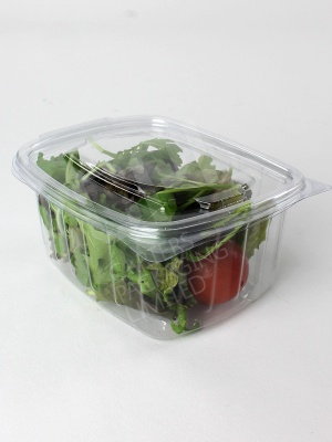 500cc Salad Container