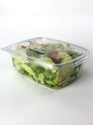 750cc Salad Container