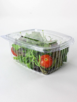1000cc Salad Container