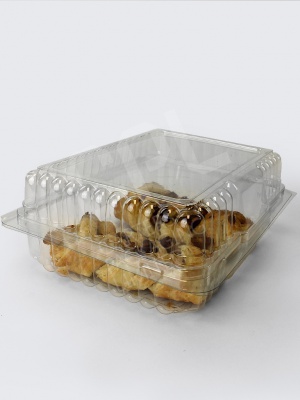Large Plastic Cake Container with Hinged Lid