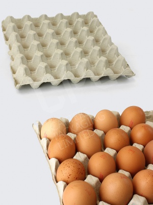 Grey Egg Trays: Fit 30 Eggs