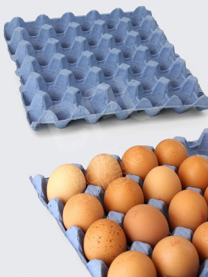 Large Blue Egg Tray: Fits 30 Eggs