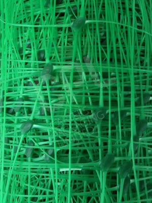 Plastic Vertical and Horizontal Plant Support Netting