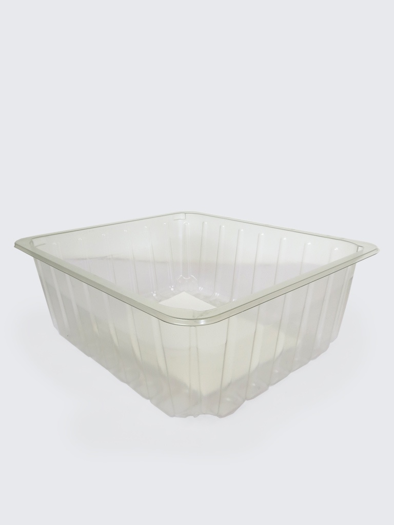 Recycled Clear Tray with Pad
