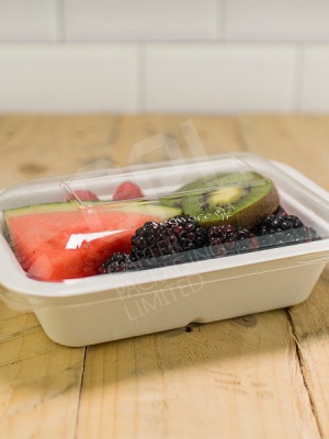 Fruit Salad in Food Tray