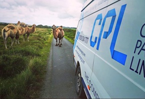 Fleet of Delivery Vehicles