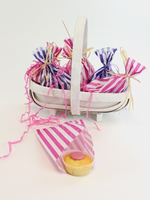 Blue or Pink Candy Stripe Bags