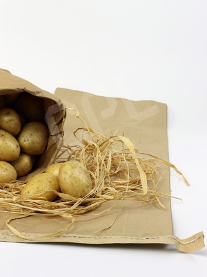 Potato Sack (25kg)