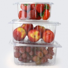 Hinged Food Tubs | 100% Recyclable