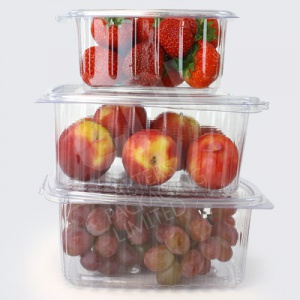Hinged Food Tubs | 100% Recyclable