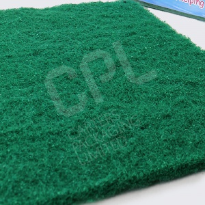 Scouring Pads