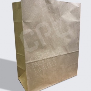 Large Takeaway Paper Bags