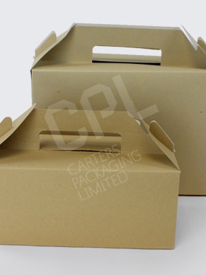 Kraft Carry Packs / Meal Boxes