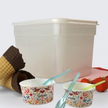 Ice Cream Tubs | Freezer Tub