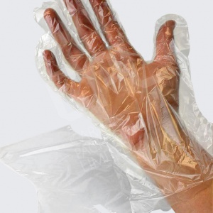 Clear LD Polythene Gloves