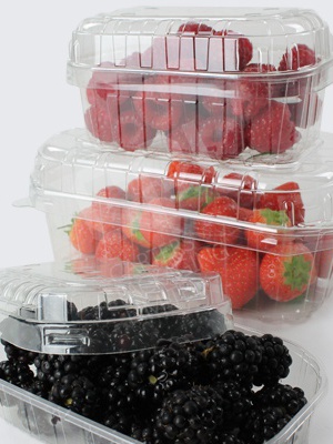 Punnet | Fruit Punnets